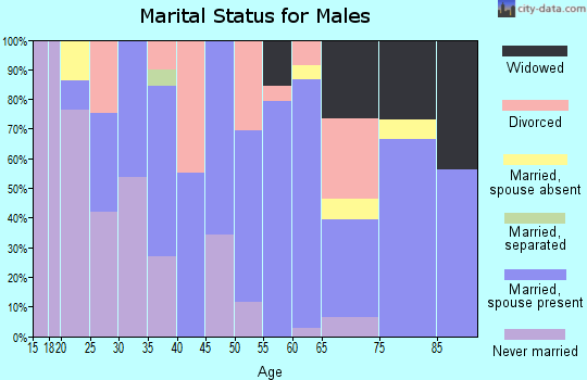 Zip code 83628 marital status for males