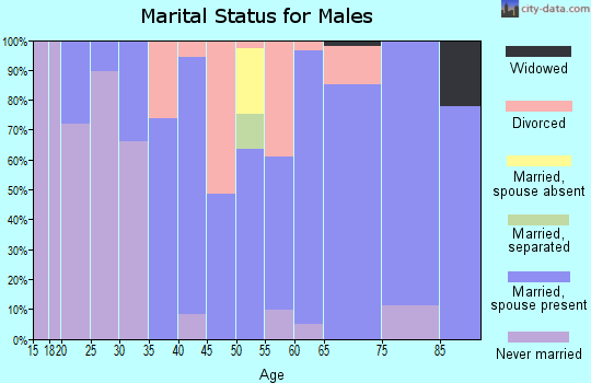 Zip code 83629 marital status for males