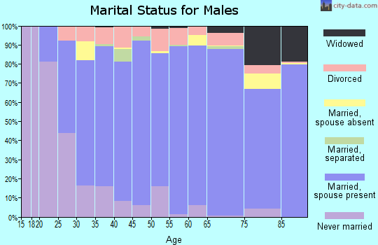 Zip code 83642 marital status for males