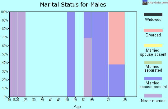 Zip code 83643 marital status for males