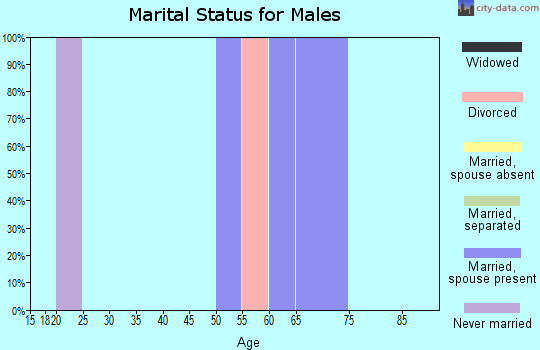 Zip code 83666 marital status for males