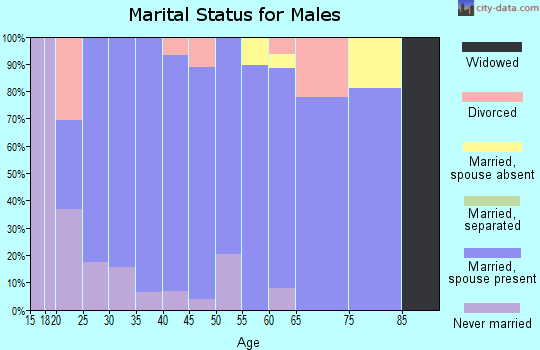 Zip code 83669 marital status for males
