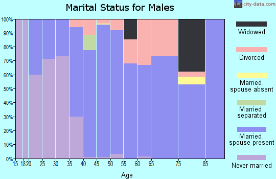 Zip code 83801 marital status for males