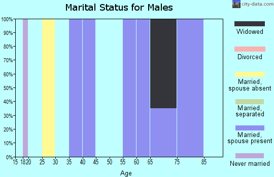 Zip code 83803 marital status for males