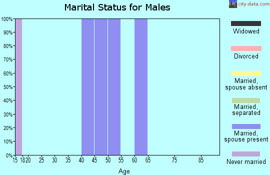 Zip code 83809 marital status for males