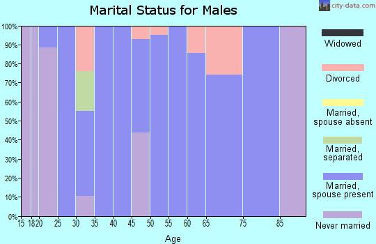 Zip code 83810 marital status for males