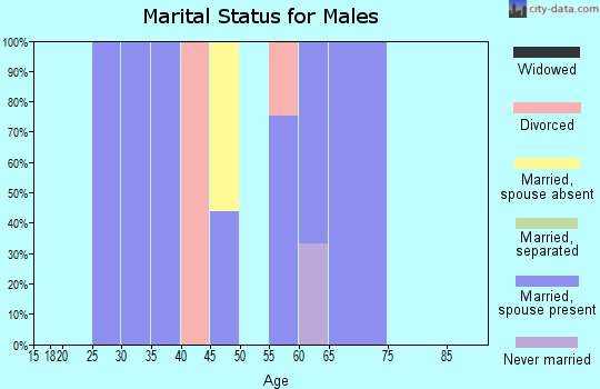 Zip code 83813 marital status for males