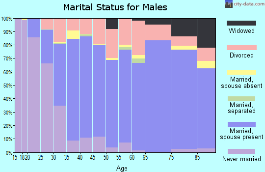 Zip code 83815 marital status for males
