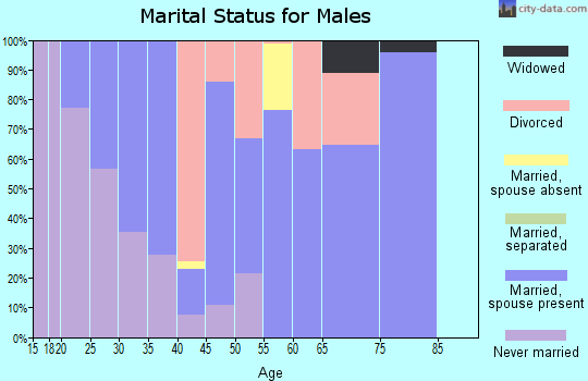 Zip code 83822 marital status for males