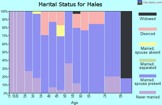 Zip code 83832 marital status for males