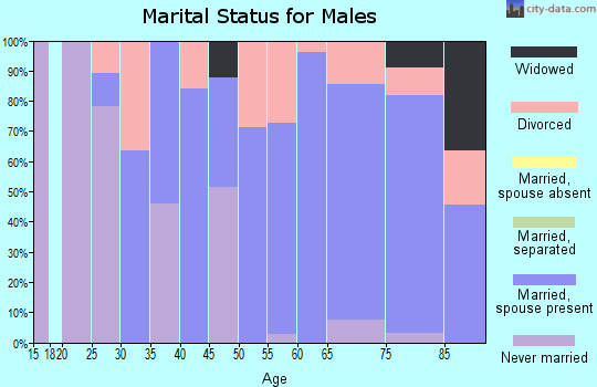 Zip code 83833 marital status for males