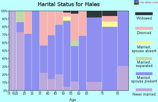 Zip code 83849 marital status for males