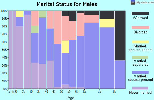 Zip code 83851 marital status for males