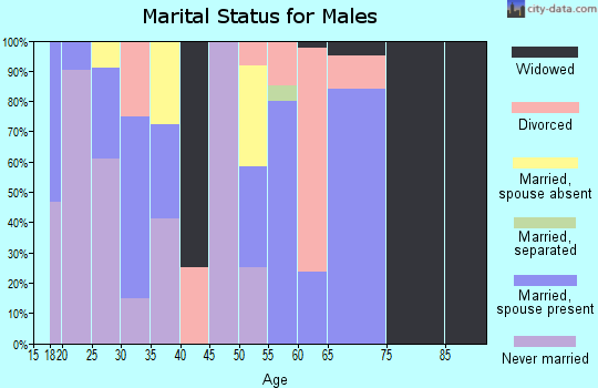 Zip code 83852 marital status for males