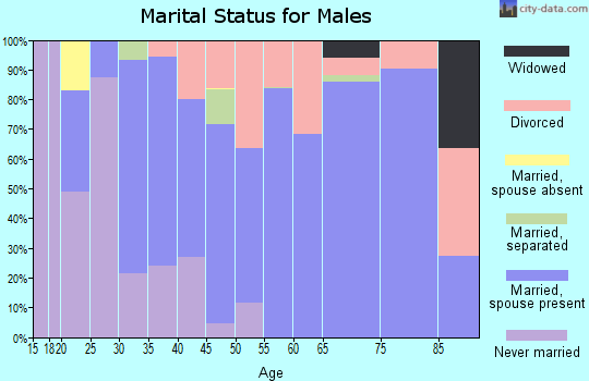 Zip code 83856 marital status for males