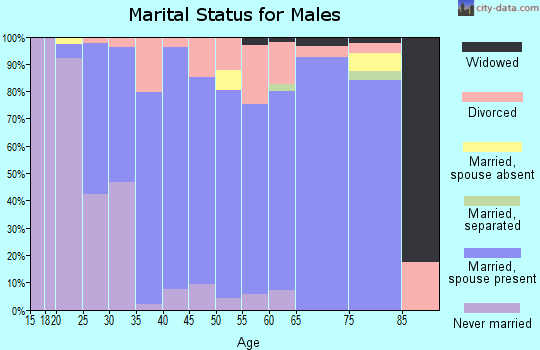 Zip code 83858 marital status for males