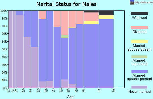 Zip code 83860 marital status for males