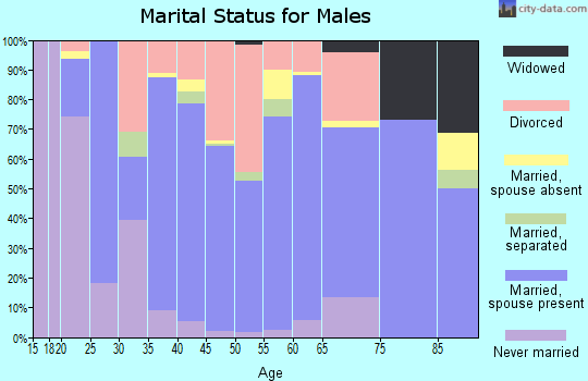 Zip code 83861 marital status for males