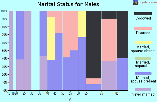 Zip code 83868 marital status for males