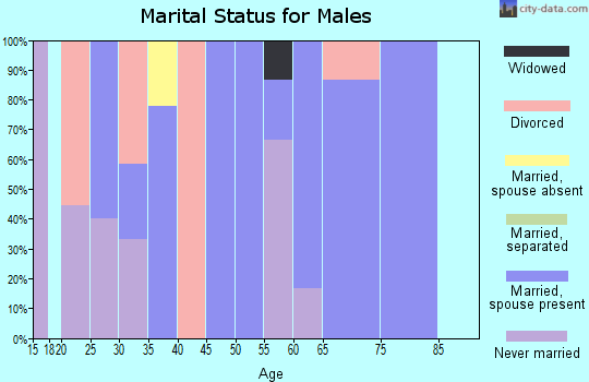 Zip code 83870 marital status for males