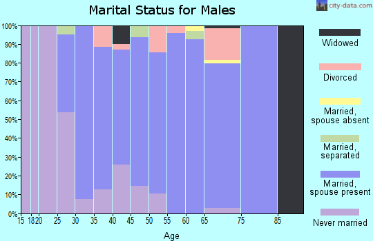 Zip code 83871 marital status for males