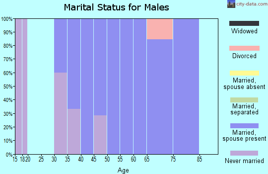 Zip code 83872 marital status for males