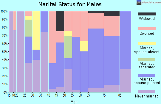 Zip code 83873 marital status for males