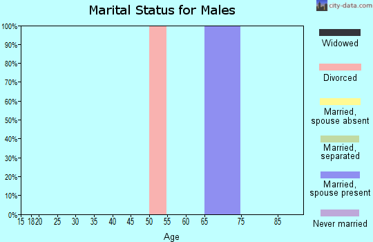 Zip code 83874 marital status for males