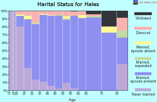 Zip code 84003 marital status for males