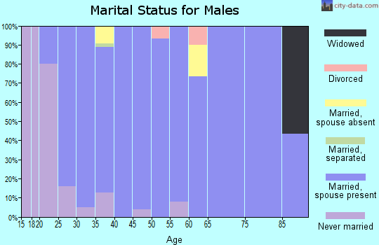 Zip code 84004 marital status for males