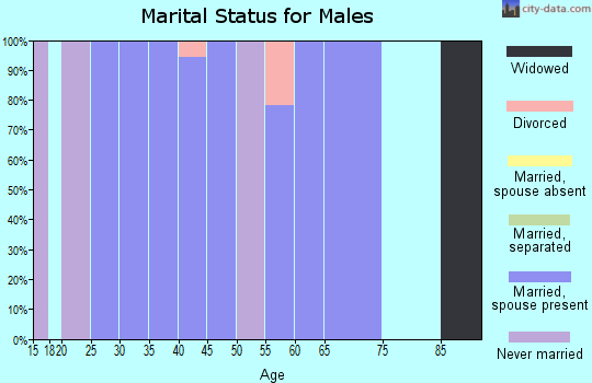 Zip code 84007 marital status for males