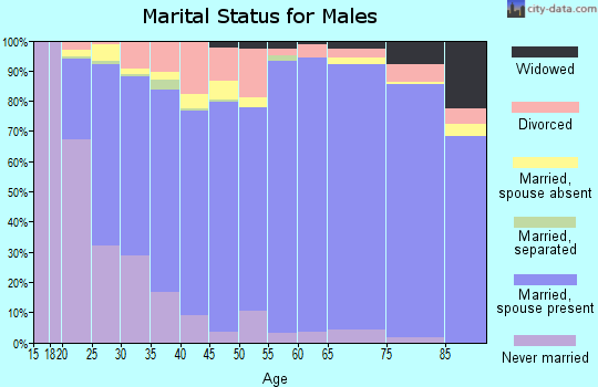 Zip code 84010 marital status for males