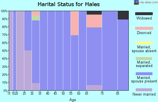 Zip code 84033 marital status for males