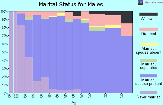 Zip code 84040 marital status for males