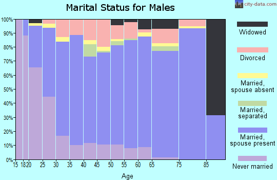 Zip code 84041 marital status for males