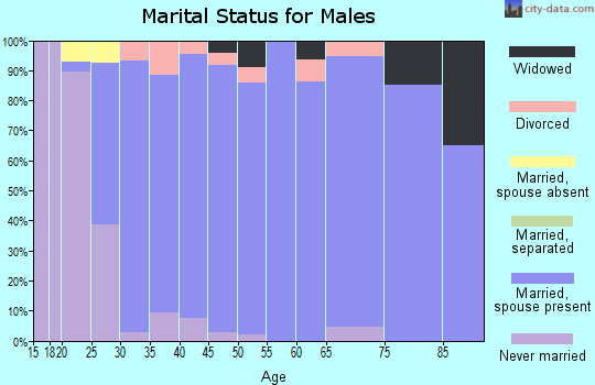Zip code 84042 marital status for males