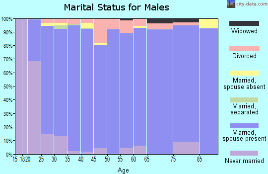 Zip code 84043 marital status for males