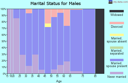 Zip code 84049 marital status for males