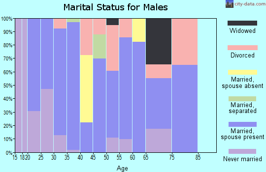 Zip code 84052 marital status for males