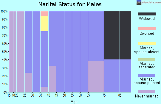 Zip code 84053 marital status for males