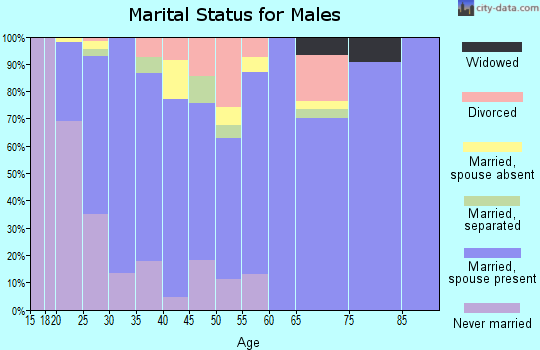 Zip code 84054 marital status for males