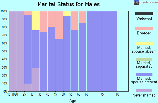 Zip code 84055 marital status for males