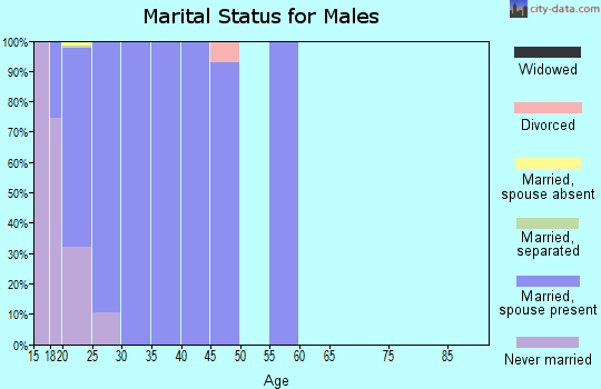 Zip code 84056 marital status for males