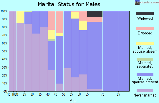Zip code 84060 marital status for males
