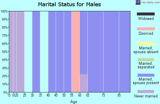 Zip code 84063 marital status for males