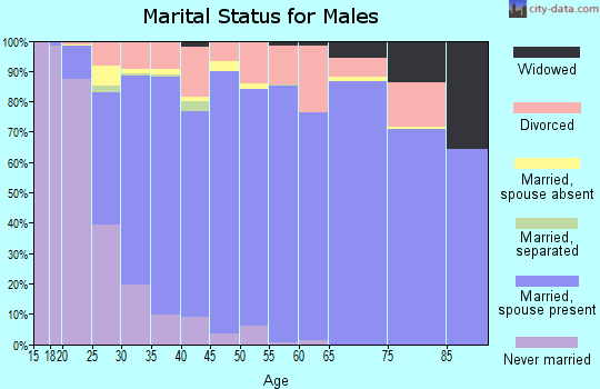 Zip code 84065 marital status for males