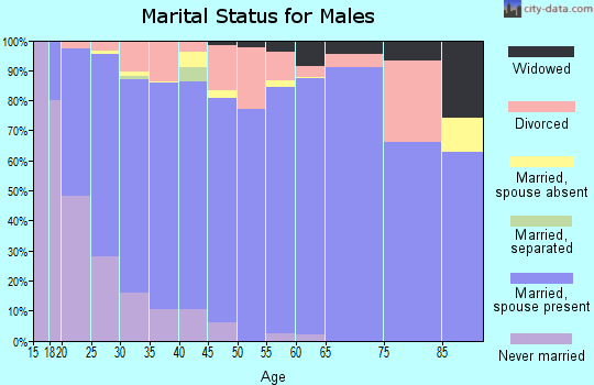 Zip code 84066 marital status for males