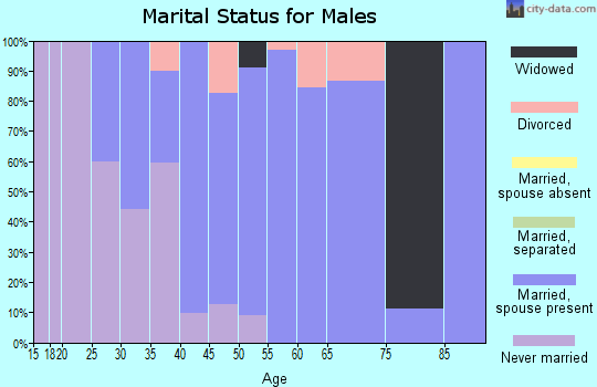 Zip code 84071 marital status for males