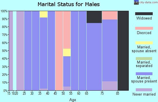 Zip code 84072 marital status for males
