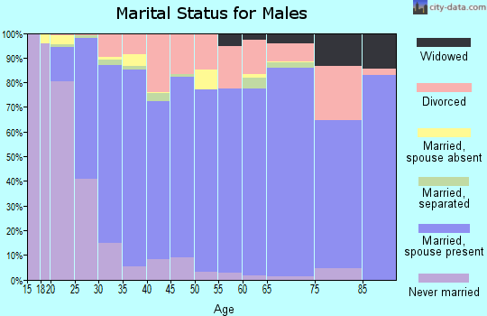 Zip code 84074 marital status